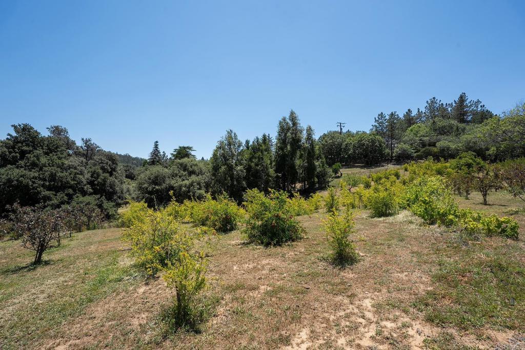 1315 Farmer Road Julian, CA 92036 - Photo 74 of 74