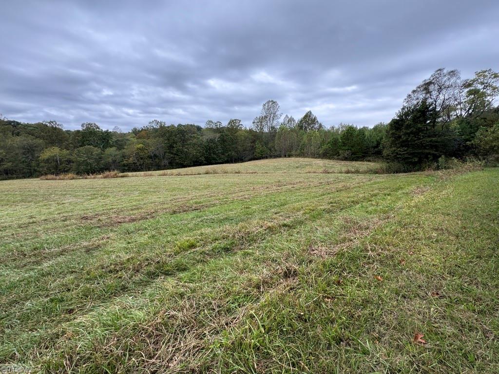 X Miller Gap Road, Unit 44 AC Dobson, NC 27017 - Photo 14 of 17