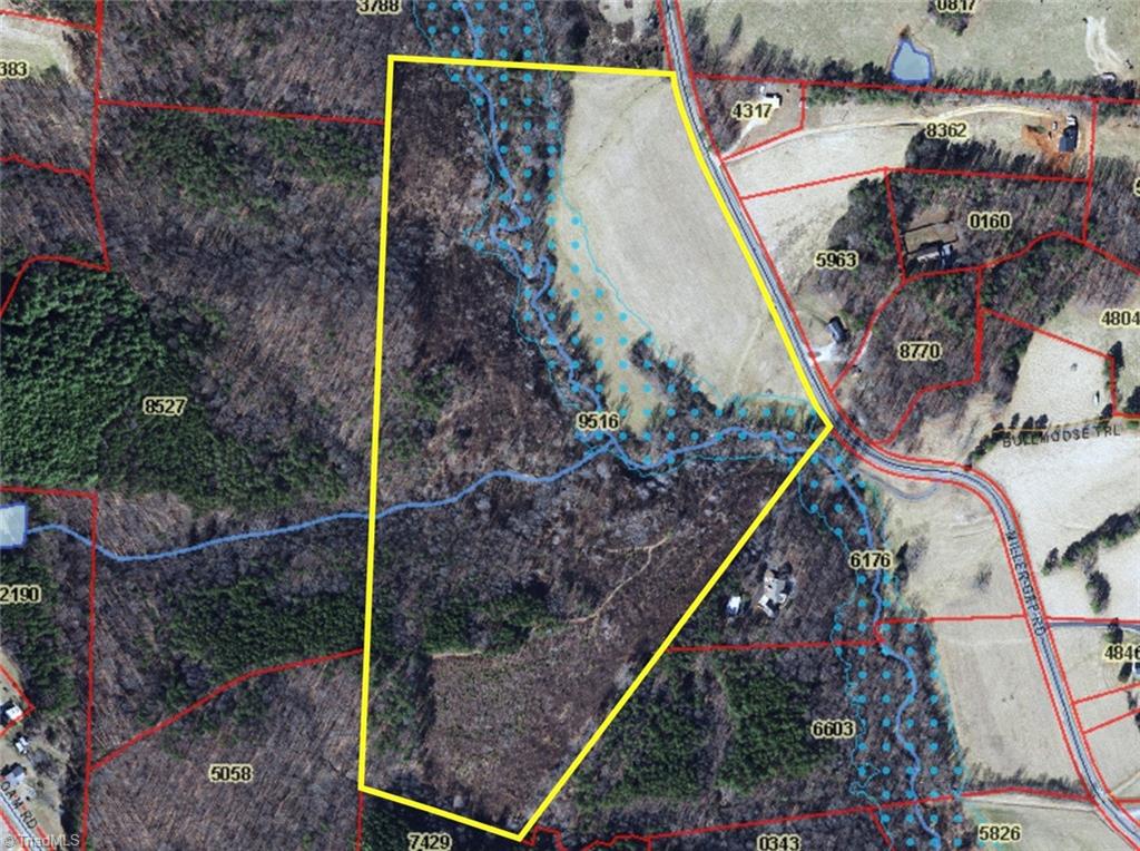 X Miller Gap Road, Unit 44 AC Dobson, NC 27017 - Photo 17 of 17 Flood Map