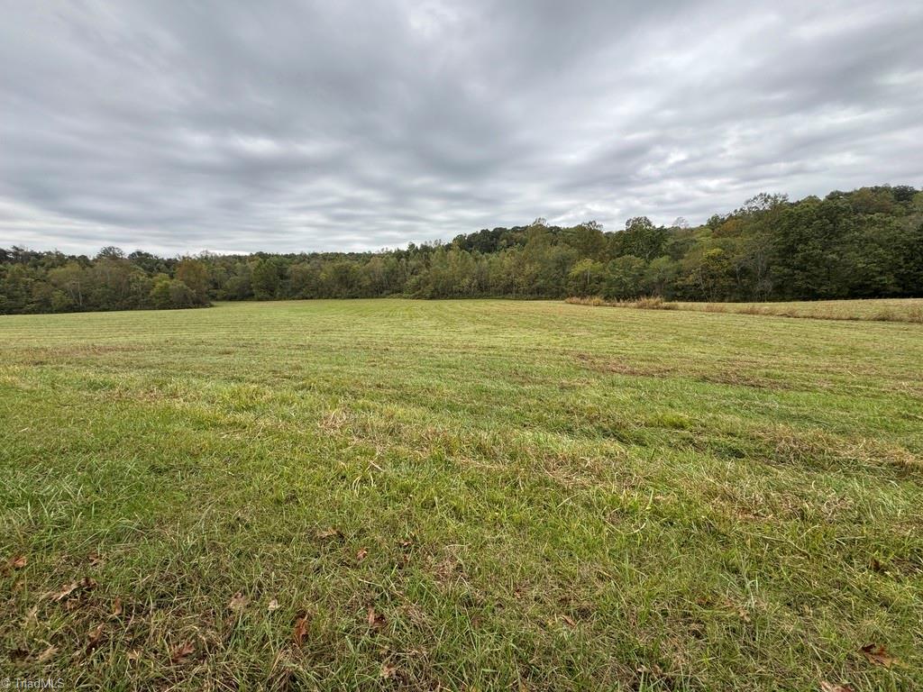 X Miller Gap Road, Unit 44 AC Dobson, NC 27017 - Photo 9 of 17