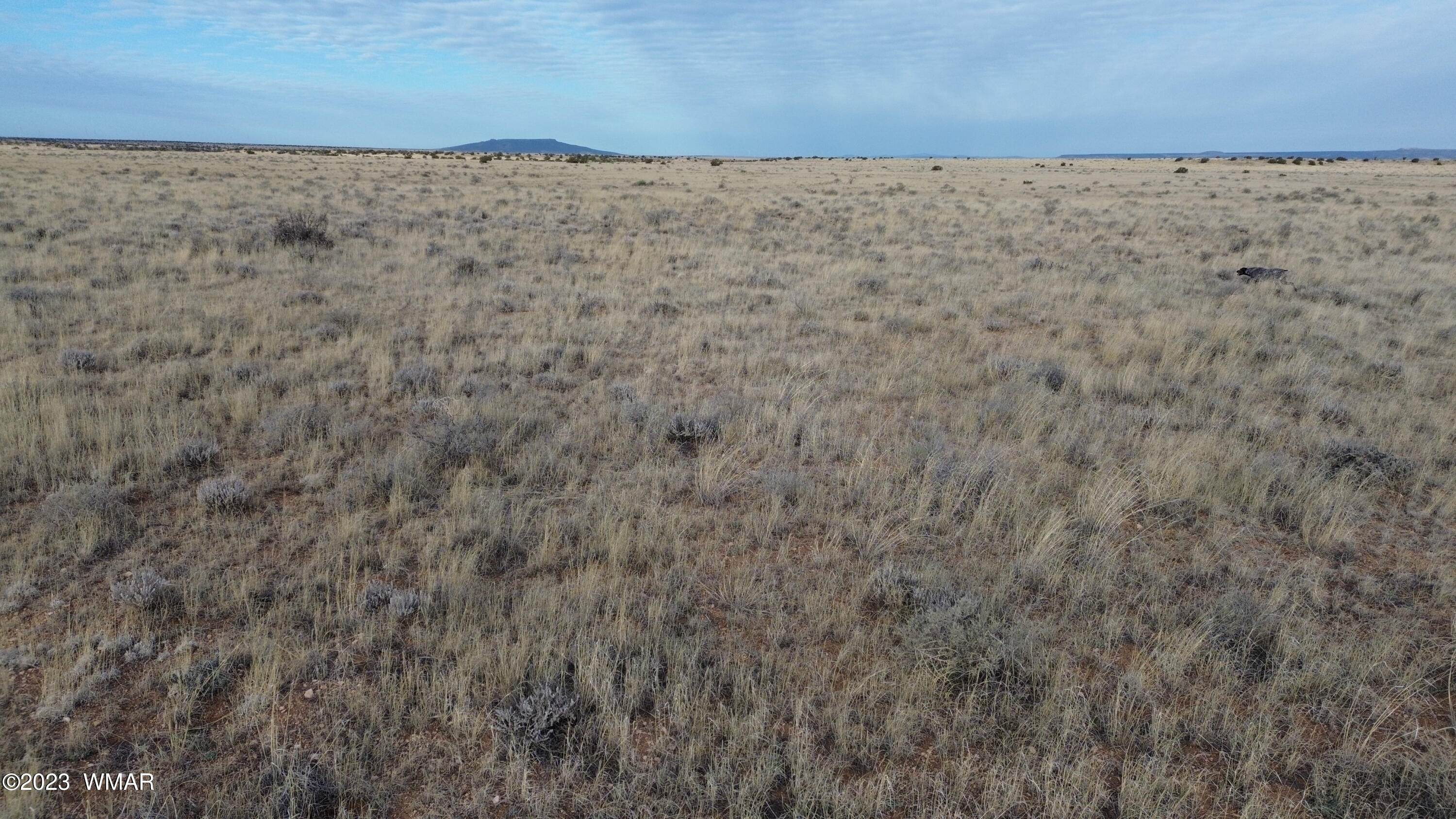 Lot 661 Chevelon Canyon Ranch Heber, AZ 85928 - Photo 10 of 16