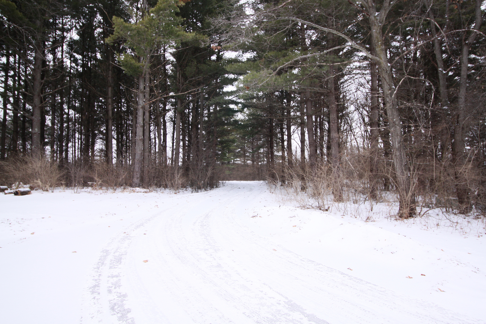 2002 Hawthorn Road Marengo, IL 60152 - Photo 27 of 27 a view of snow covered with trees
