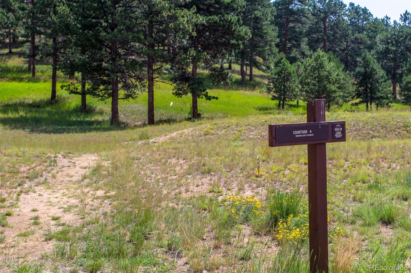 1555 Genesee Ridge Road Golden, CO 80401 - Photo 48 of 50 Gallery Image 48
