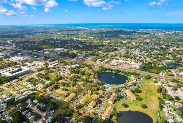 2522 Pine Ridge Way South, Unit D2 Palm Harbor, FL 34684 - Photo 37 of 38