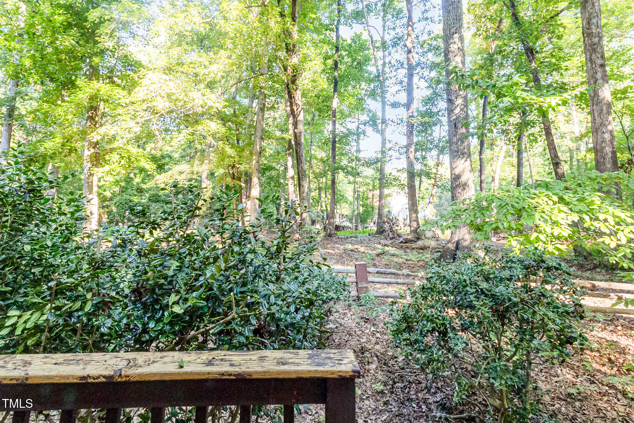 1423 Davis Road Hillsborough, NC 27278 - Photo 32 of 40 a view of yard with green space