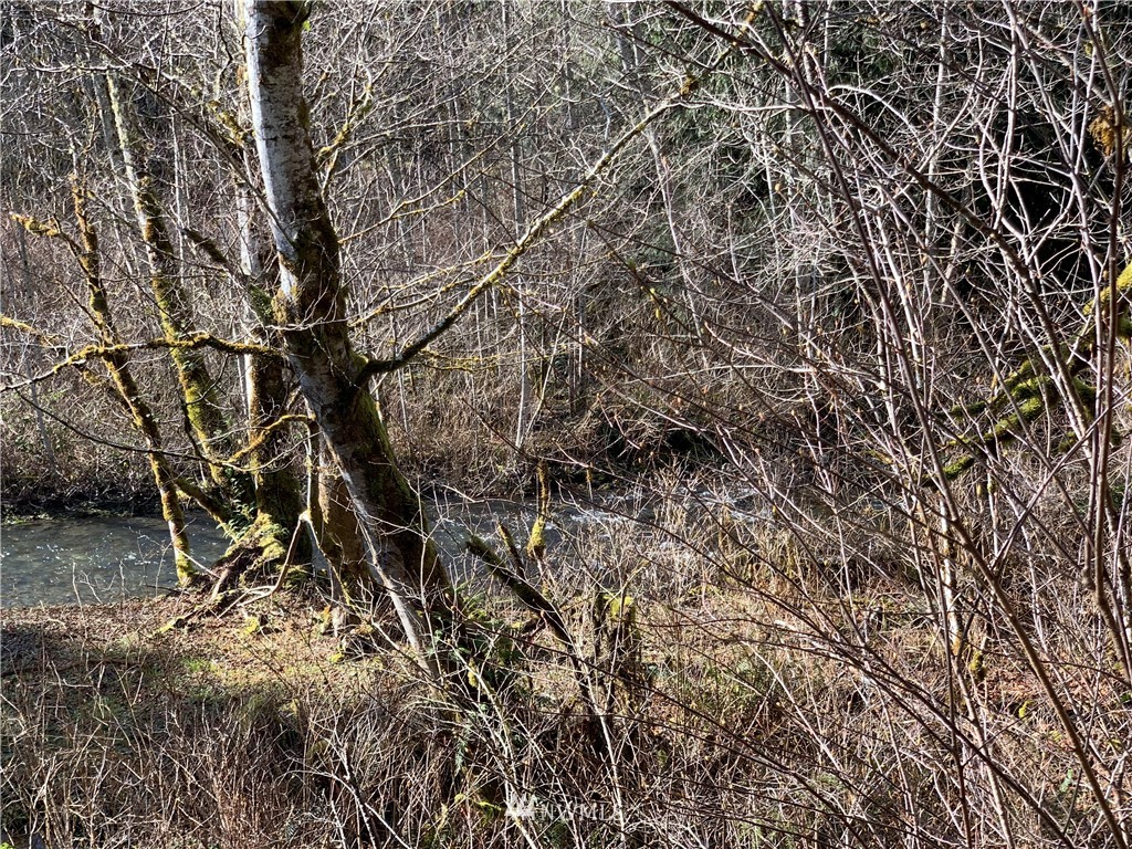 24 X Lords Lake Loop Road Quilcene, WA 98376 - Photo 12 of 33