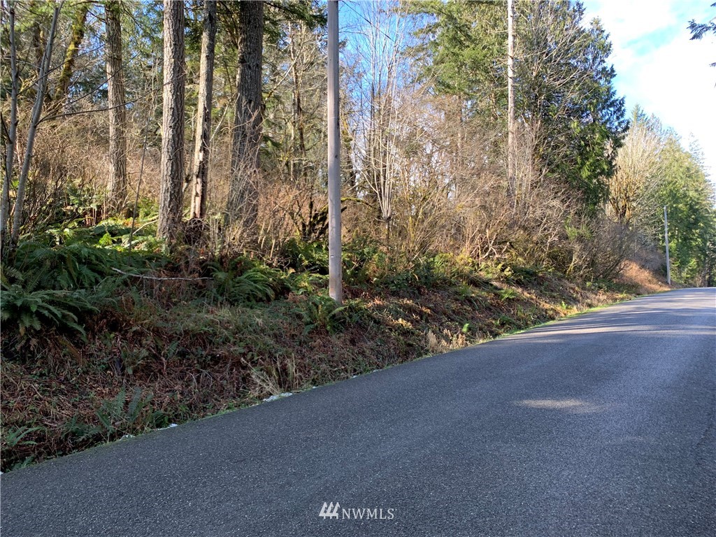 24 X Lords Lake Loop Road Quilcene, WA 98376 - Photo 13 of 33