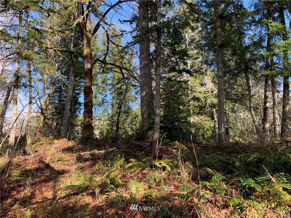 24 X Lords Lake Loop Road Quilcene, WA 98376 - Photo 20 of 33