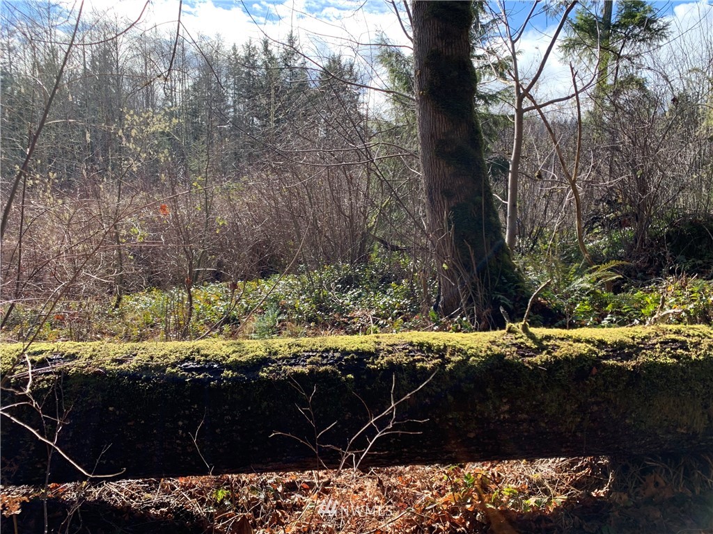 24 X Lords Lake Loop Road Quilcene, WA 98376 - Photo 21 of 33