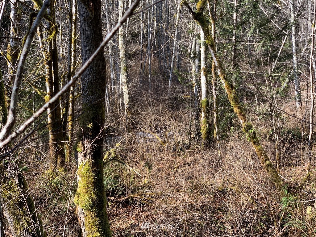 24 X Lords Lake Loop Road Quilcene, WA 98376 - Photo 27 of 33