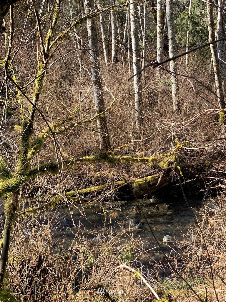 24 X Lords Lake Loop Road Quilcene, WA 98376 - Photo 29 of 33