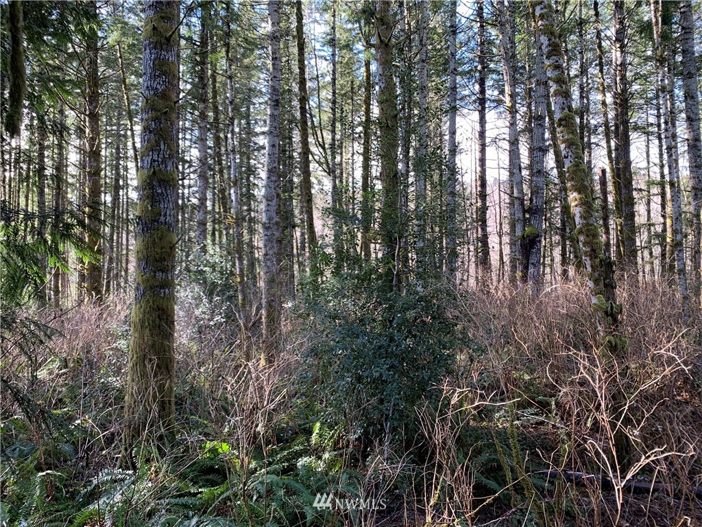 24 X Lords Lake Loop Road Quilcene, WA 98376 - Photo 31 of 33