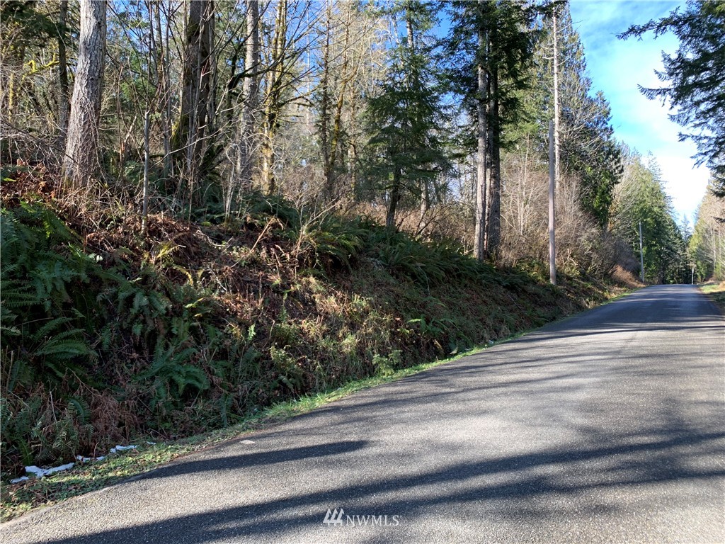 24 X Lords Lake Loop Road Quilcene, WA 98376 - Photo 33 of 33