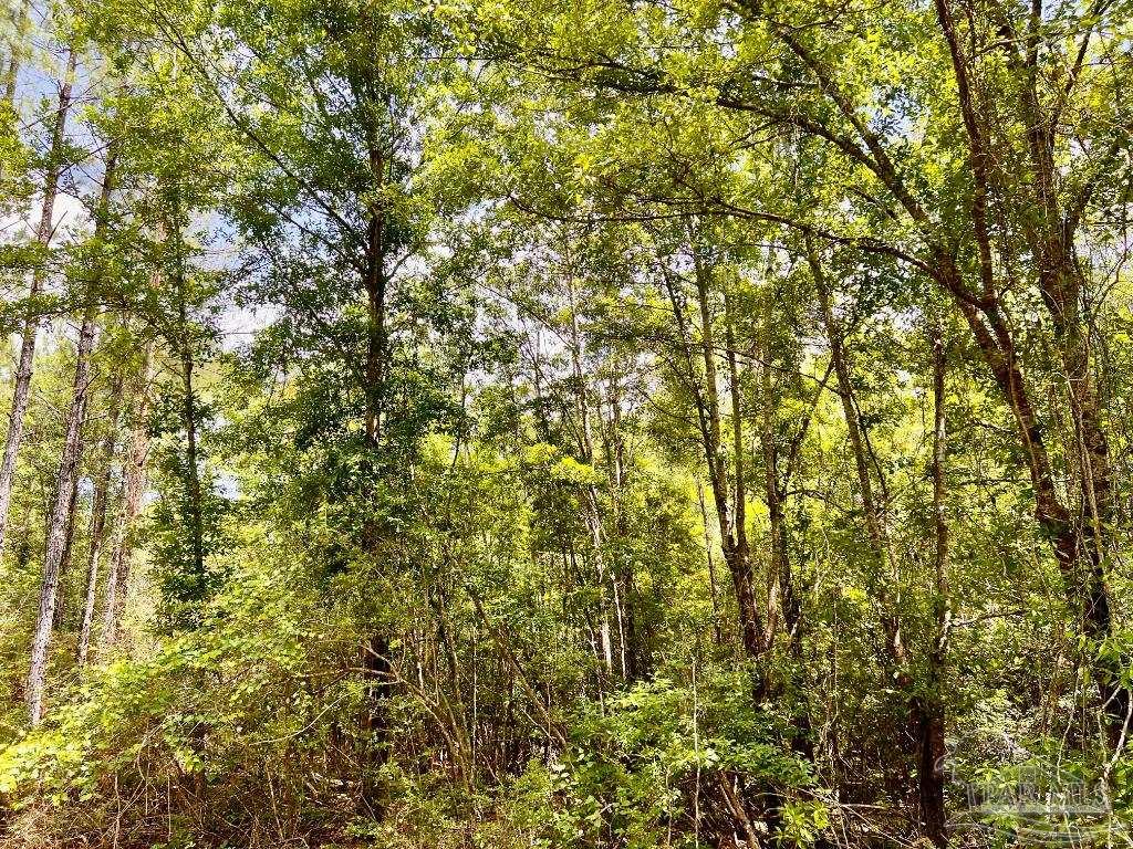 Lot 95 Turning Leaf Road Milton, FL 32571 - Photo 17 of 42 Gallery Image 17