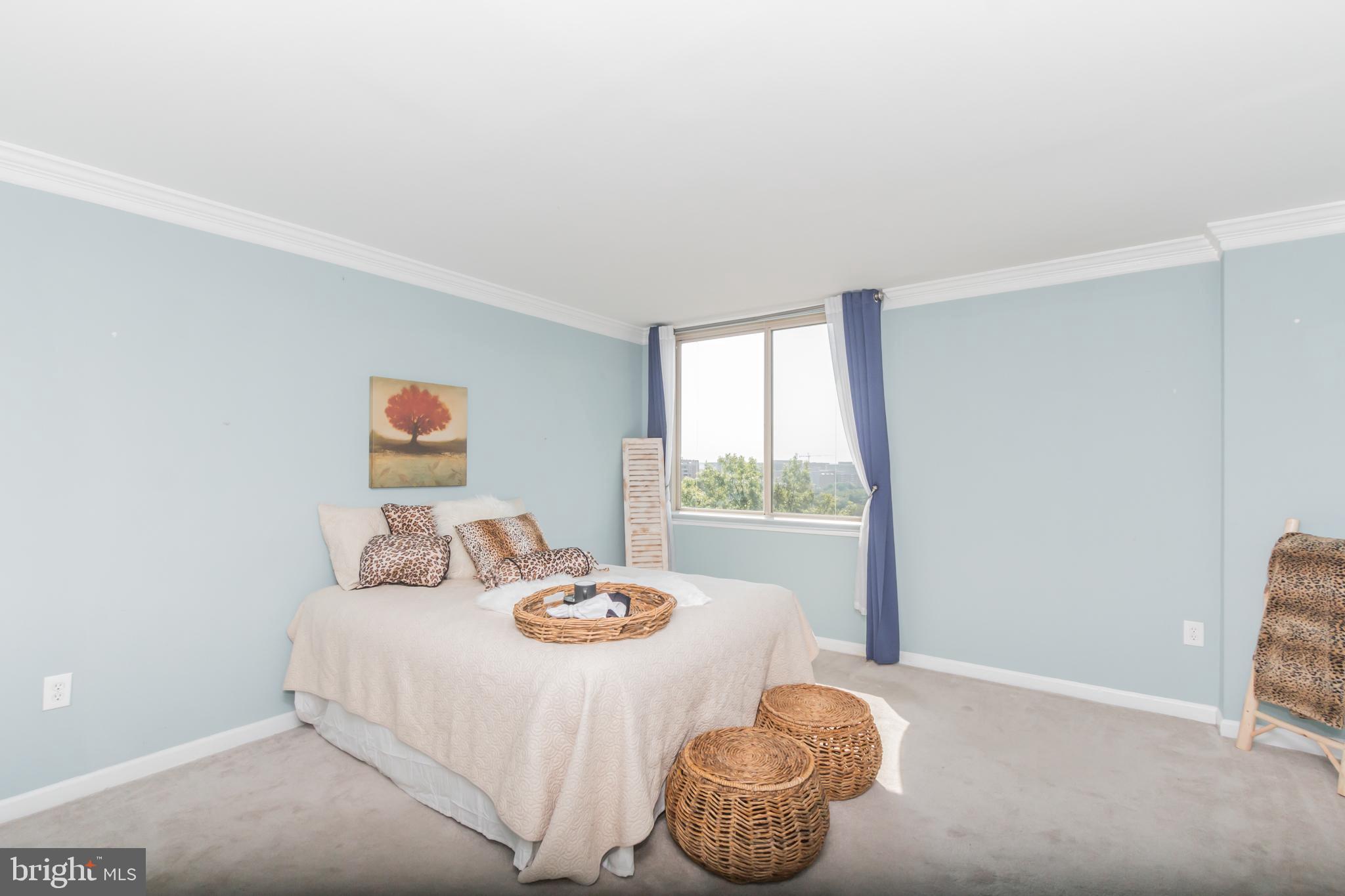 1515 South Arlington Ridge Road, Unit 704 Arlington, VA 22202 - Photo 24 of 38 Master Bedroom