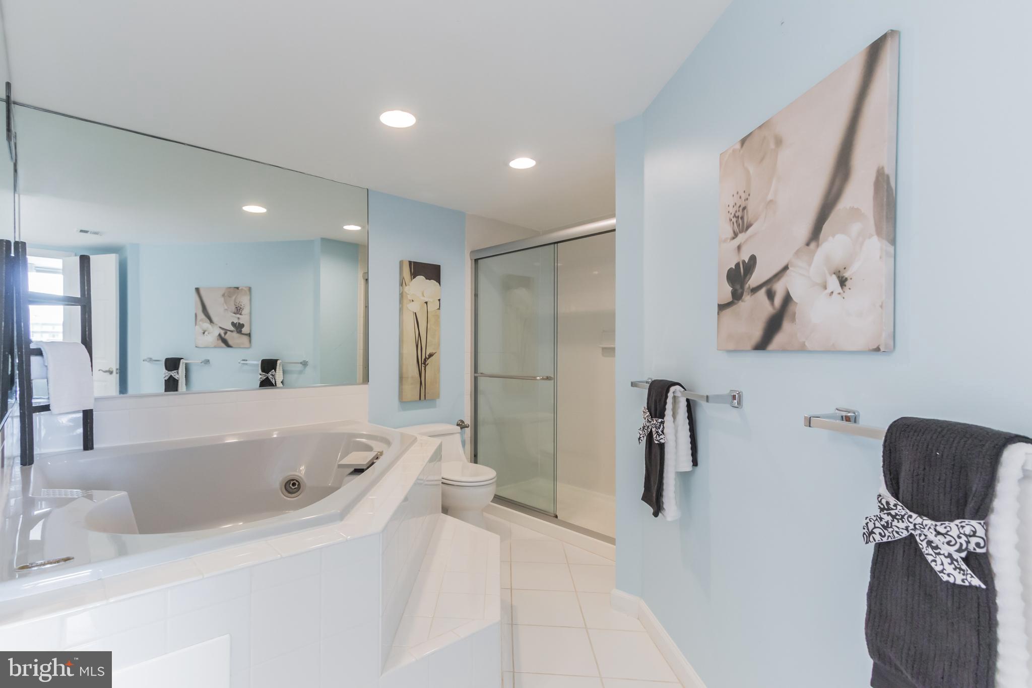 1515 South Arlington Ridge Road, Unit 704 Arlington, VA 22202 - Photo 28 of 38 Master Bathroom