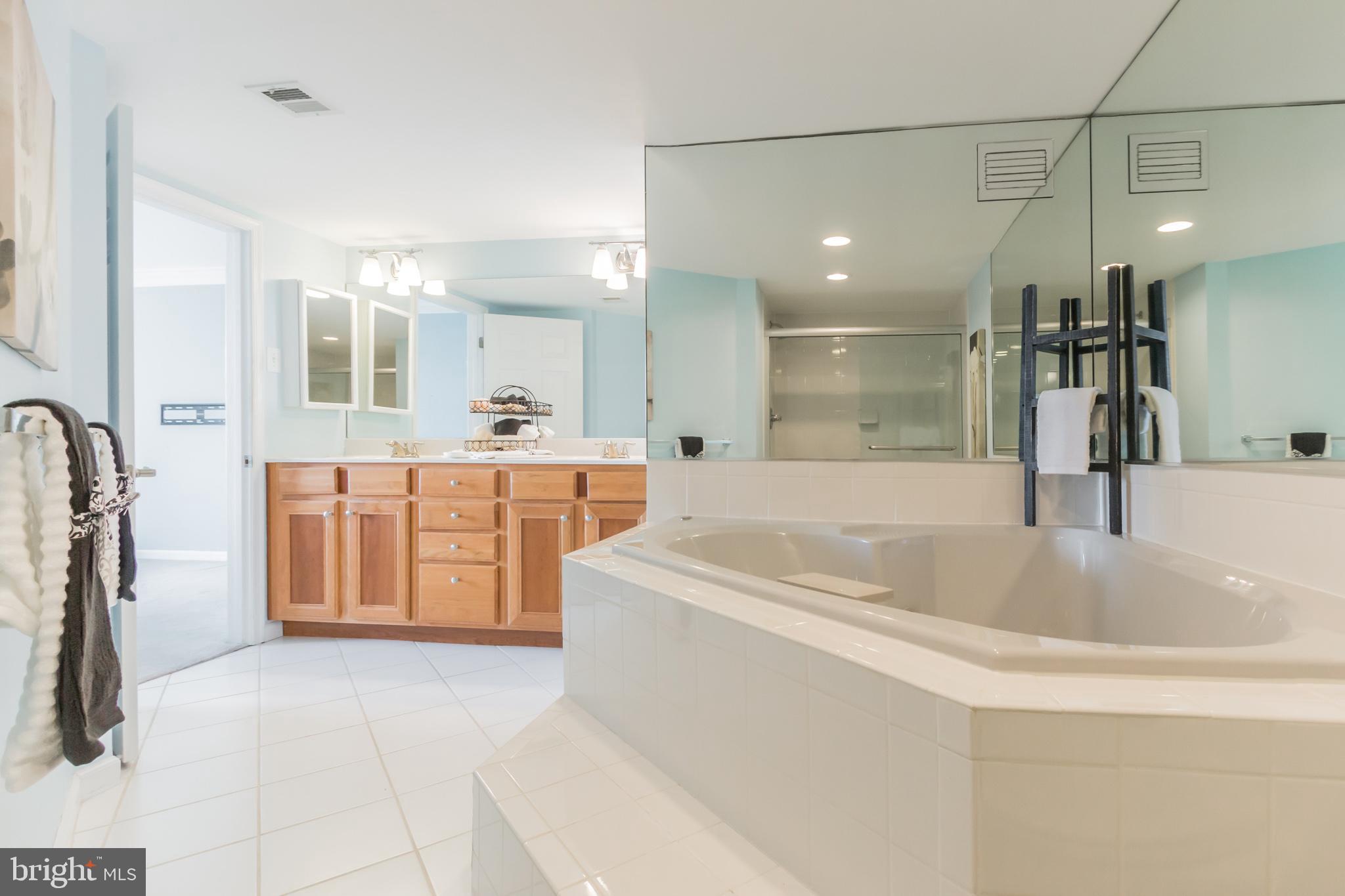1515 South Arlington Ridge Road, Unit 704 Arlington, VA 22202 - Photo 30 of 38 Master Bathroom