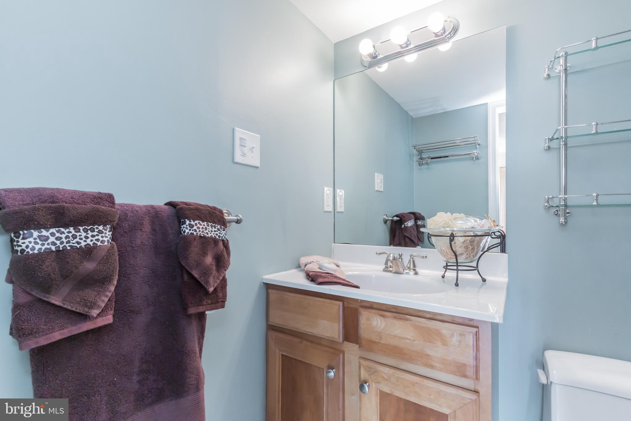 1515 South Arlington Ridge Road, Unit 704 Arlington, VA 22202 - Photo 6 of 38 Bathroom