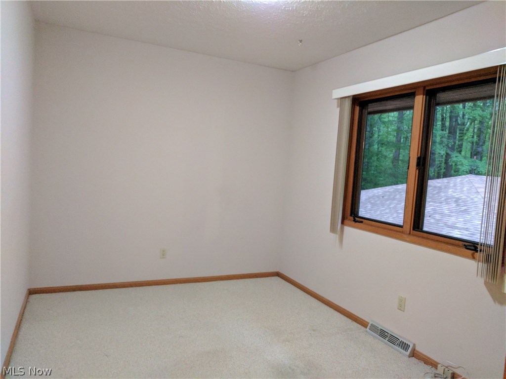13569 County Line Road Chagrin Falls, OH 44022 - Photo 18 of 35