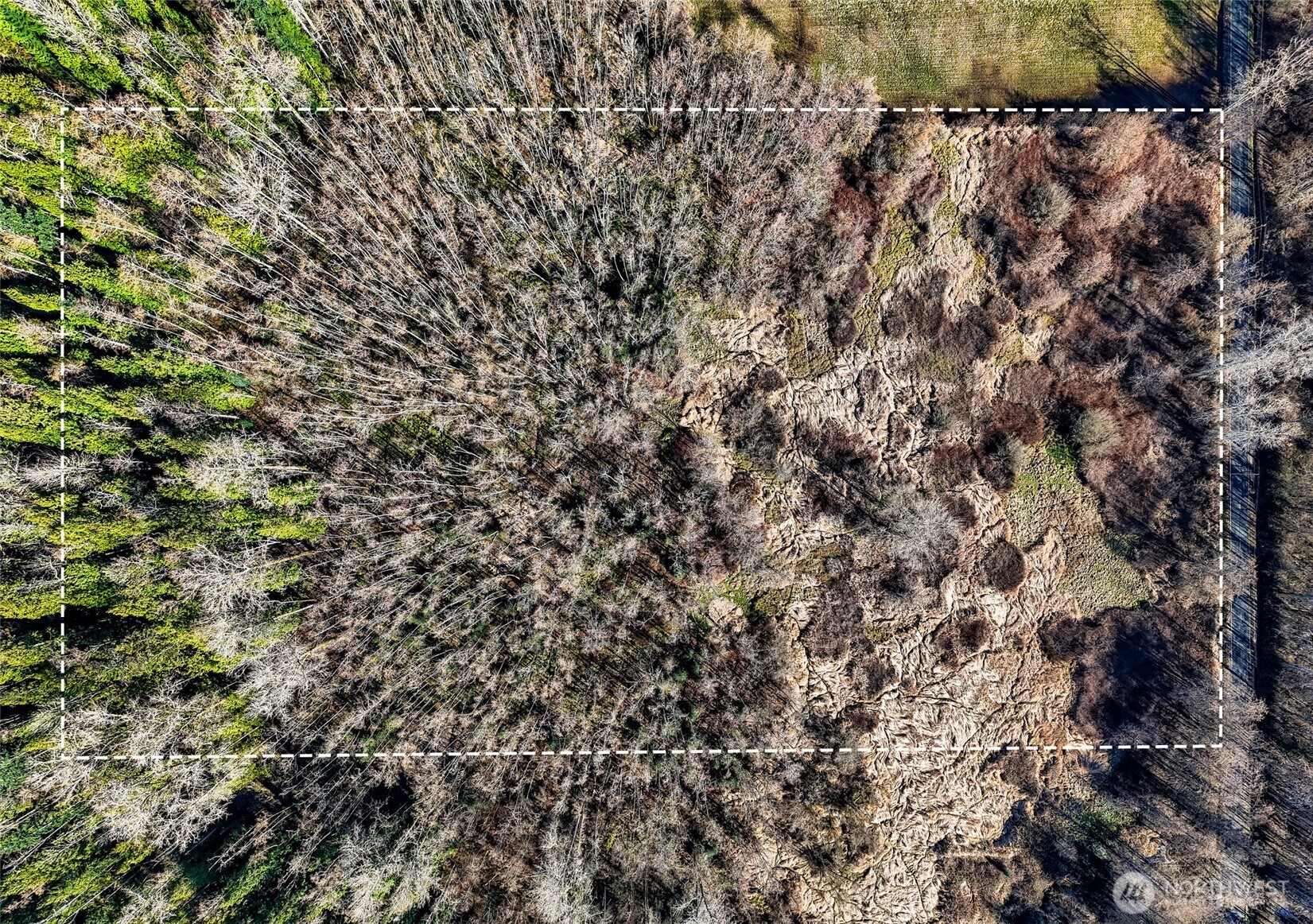 8505 Shintaffer Road Blaine, WA 98230 - Photo 5 of 15