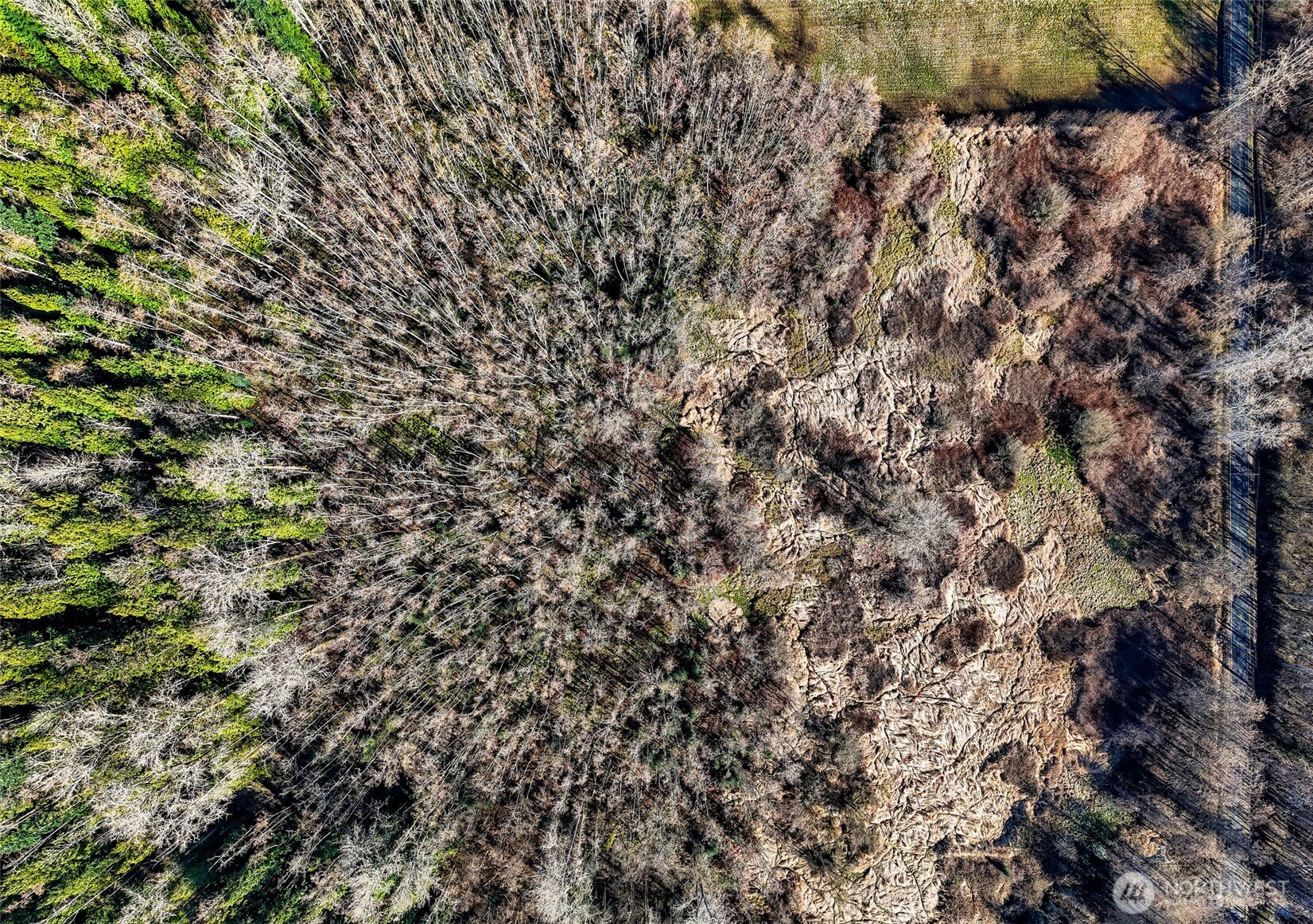 8505 Shintaffer Road Blaine, WA 98230 - Photo 6 of 15