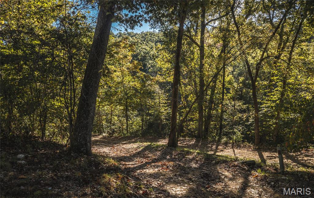 10206 Slice Road Sullivan, MO 63080 - Photo 65 of 66 Gallery Image 65