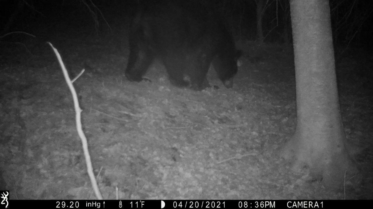 Tbd West Herrick Road Farwell, MI 48622 - Photo 5 of 7