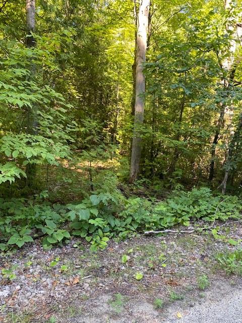 Lakeview Road Ellison Bay, WI 54210 - Photo 16 of 23 Gallery Image 16