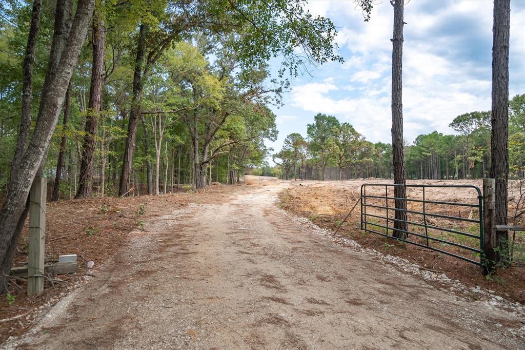4307 Rd Larue Tx 75770 Road Larue, TX 75770 - Photo 3 of 17 Gated entrance to a cleared parcel with surrounding mature trees and natural landscaping