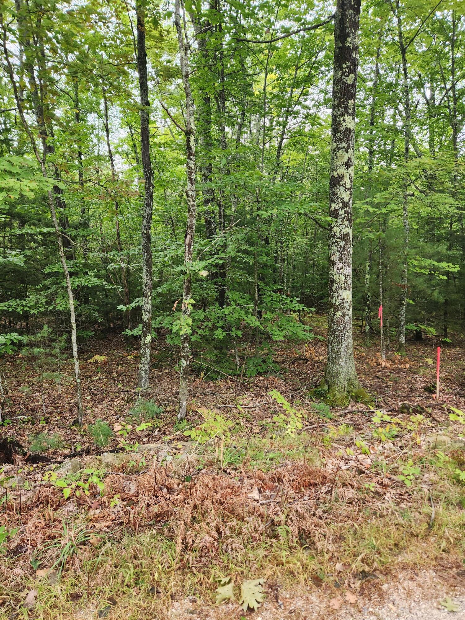 Lot # Coley Trafton Road Shapleigh, ME 04076 - Photo 3 of 8 coley 5