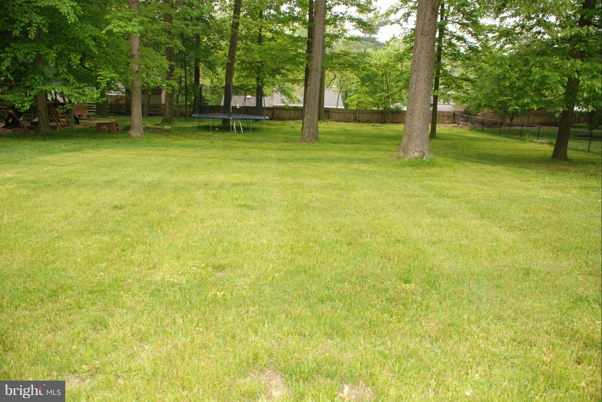 239 Gralan Road Baltimore, MD 21228 - Photo 19 of 21 a view of yard with trees