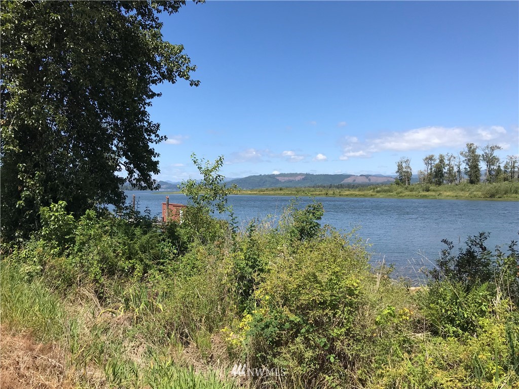 467 West Birnie Slough Road Cathlamet, WA 98612 - Photo 8 of 21 Gallery Image 8