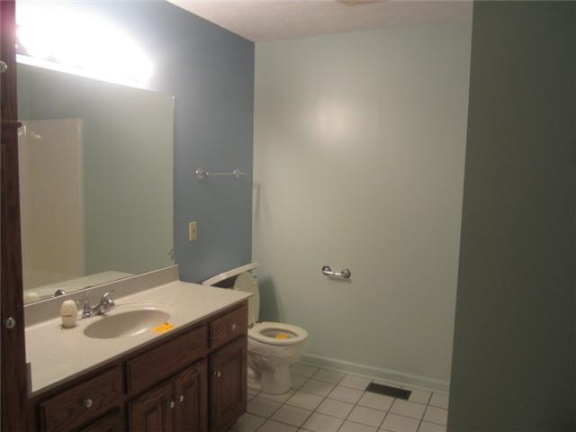 172 Cave Springs Road Lebanon, TN 37087 - Photo 12 of 19 Full bath |