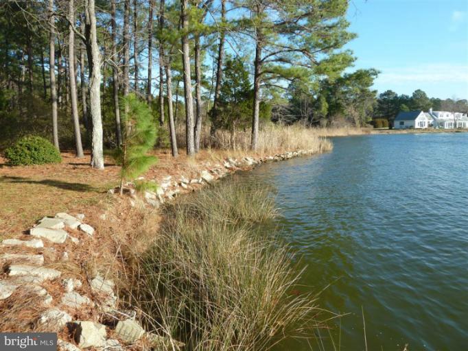 7255 Cooper Point Road Bozman, MD 21612 - Photo 7 of 11 View
