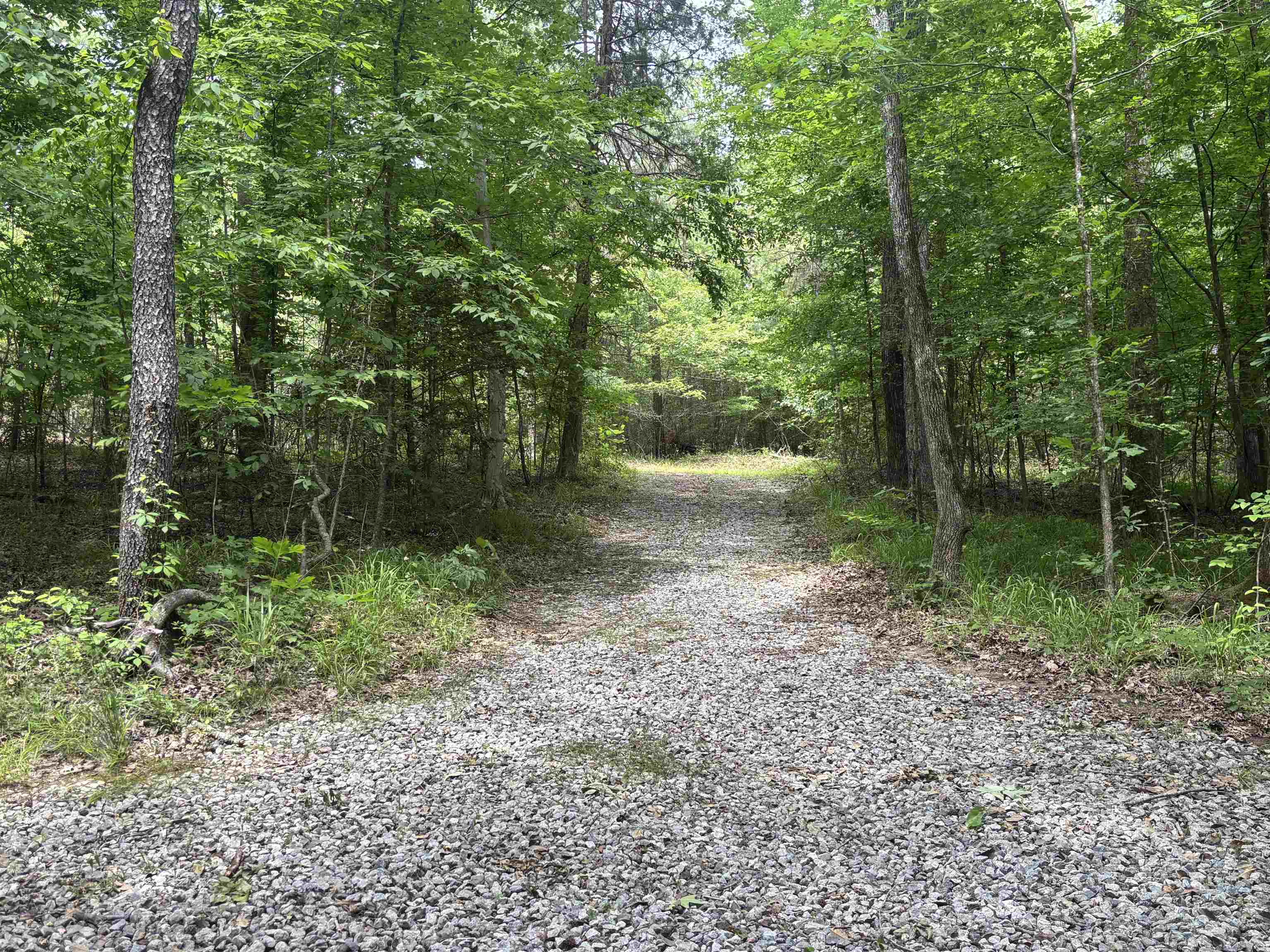 19.5-acres McMahan Road Middleton, TN 38052 - Photo 26 of 28