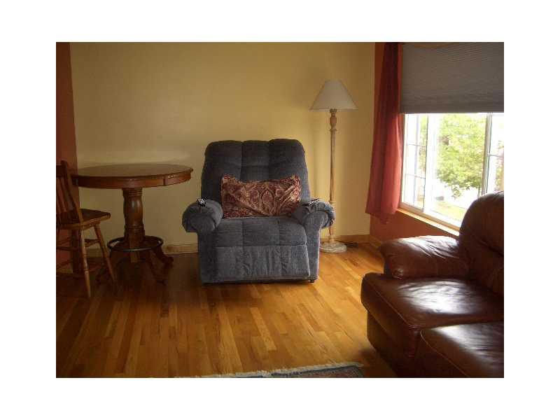 228 Orchard Spring Road Pittsburgh, PA 15220 - Photo 4 of 21 Living Room.