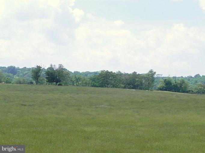 35650 Paxson Road Purcellville, VA 20132 - Photo 14 of 20 View from Unit