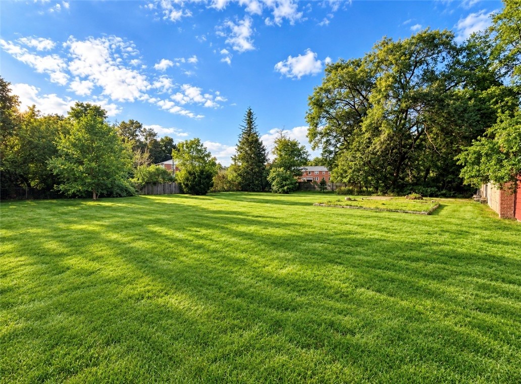 709 Watkins Road Horseheads, NY 14845 - Photo 41 of 42 Large backyard