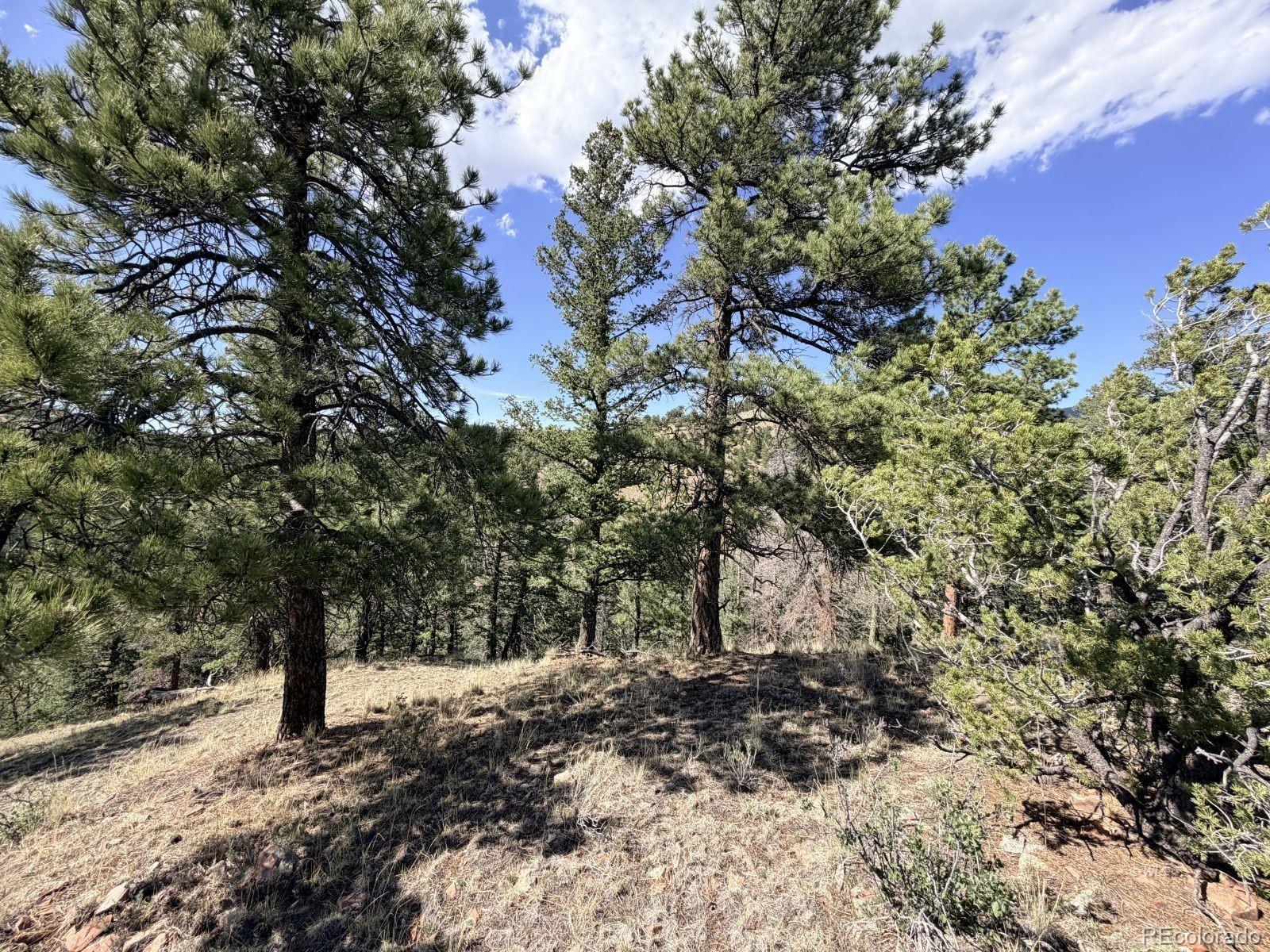 0 Schulze Ranch Road Westcliffe, CO 81252 - Photo 13 of 33