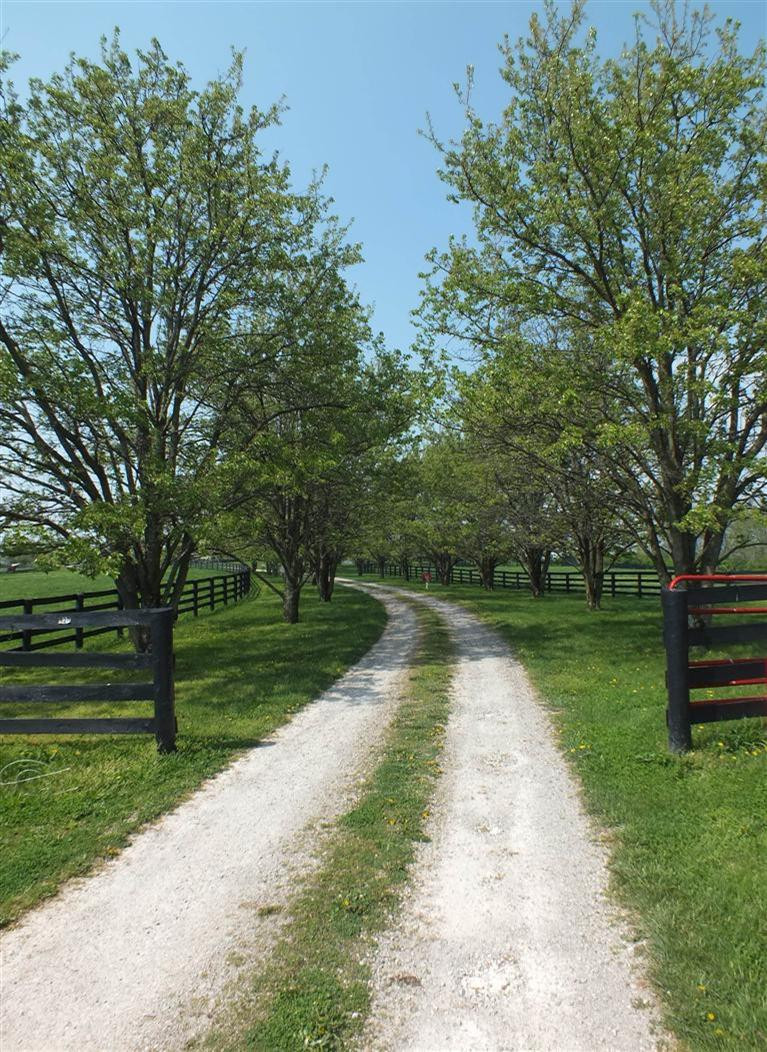 3920 Delaney Ferry Road Versailles, KY 40383 - Photo 6 of 48 Photo 6