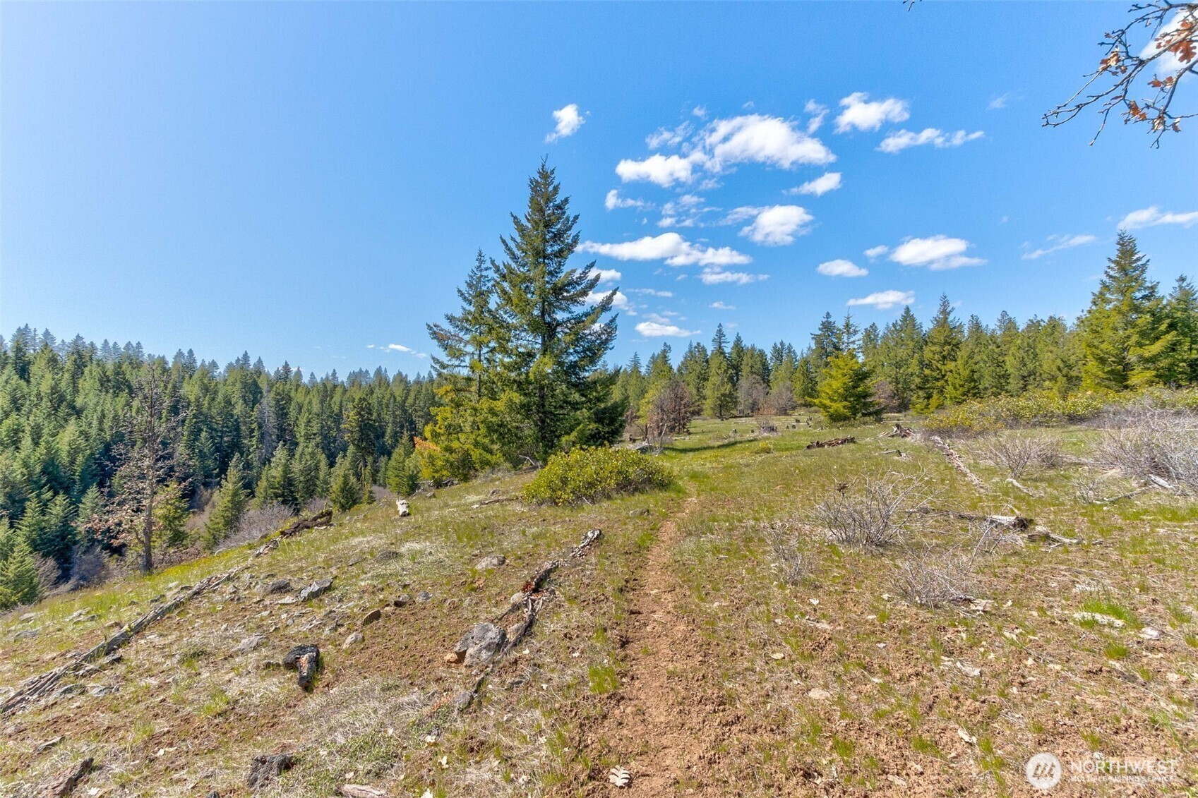 5 Sky Road Goldendale, WA 98620 - Photo 13 of 30