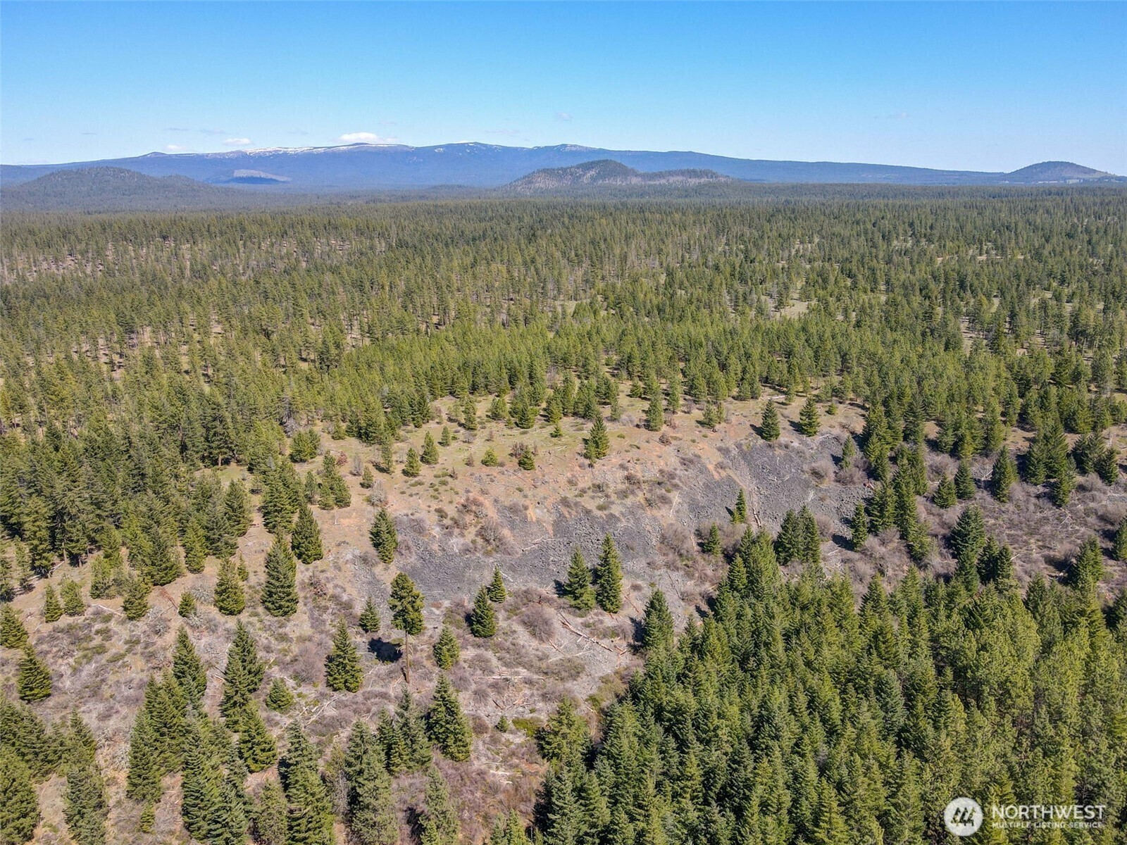 5 Sky Road Goldendale, WA 98620 - Photo 9 of 30