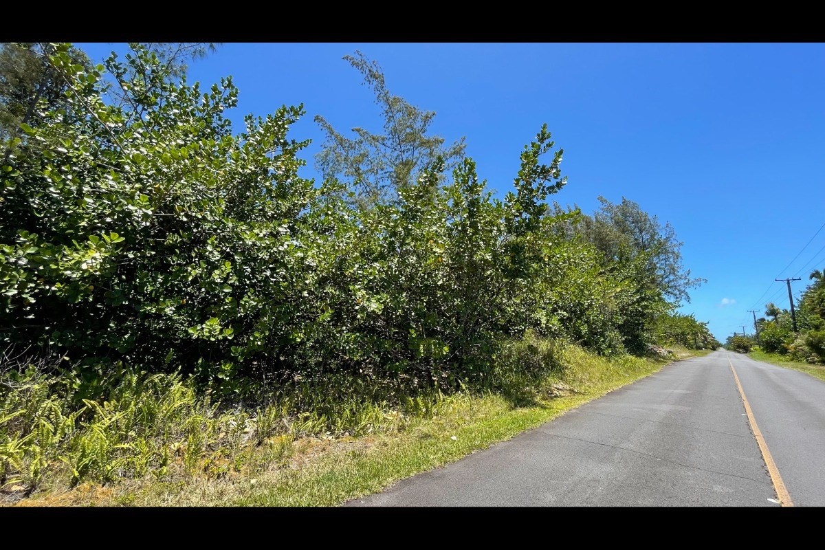 2974 Beach Road Keaau, HI 96749 - Photo 1 of 26 Gallery Image 1