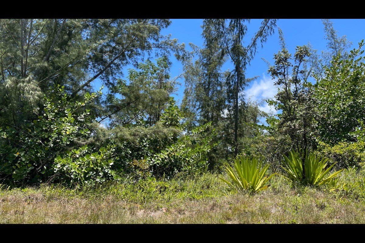 2974 Beach Road Keaau, HI 96749 - Photo 16 of 26 Gallery Image 16