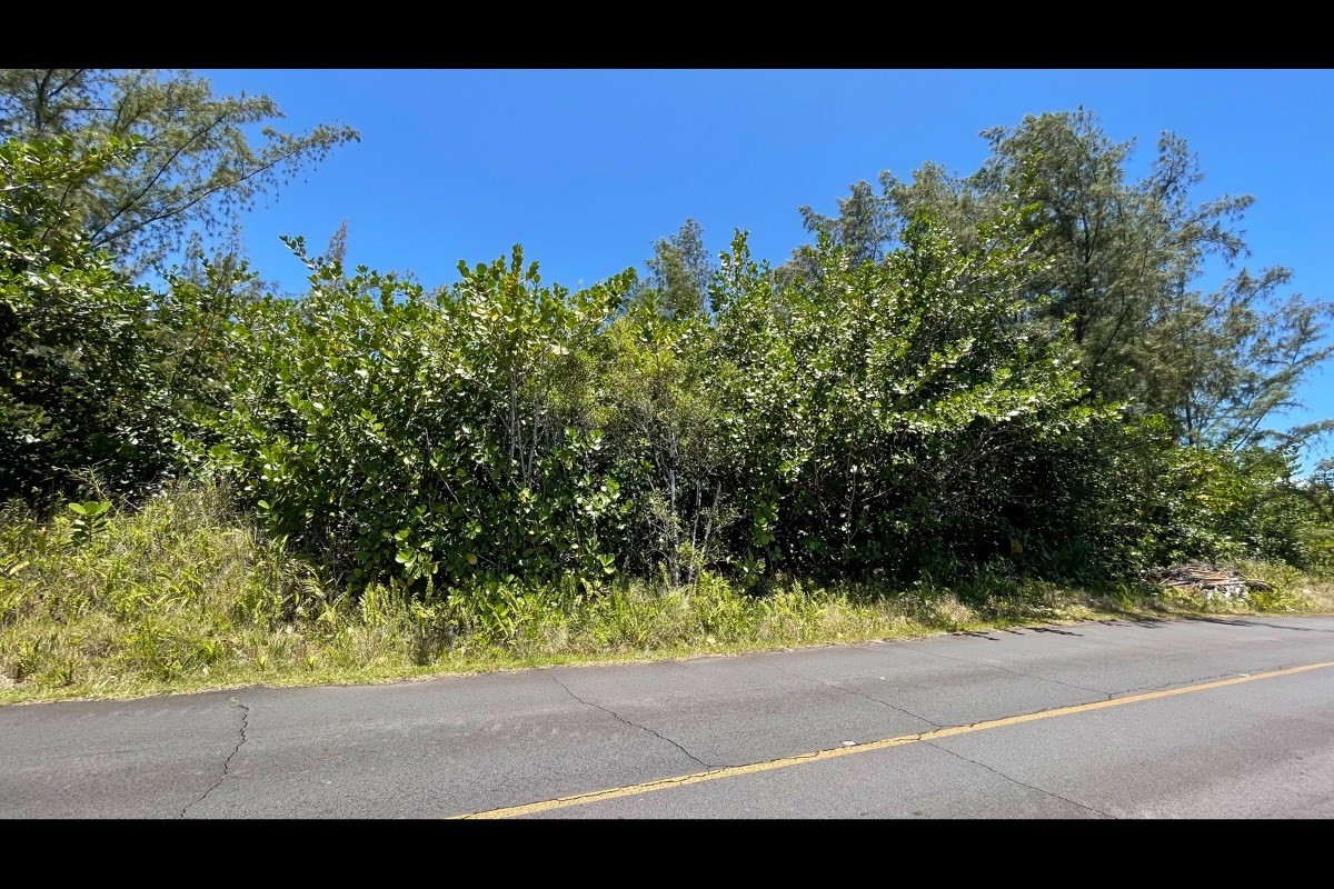 2974 Beach Road Keaau, HI 96749 - Photo 2 of 26 Gallery Image 2