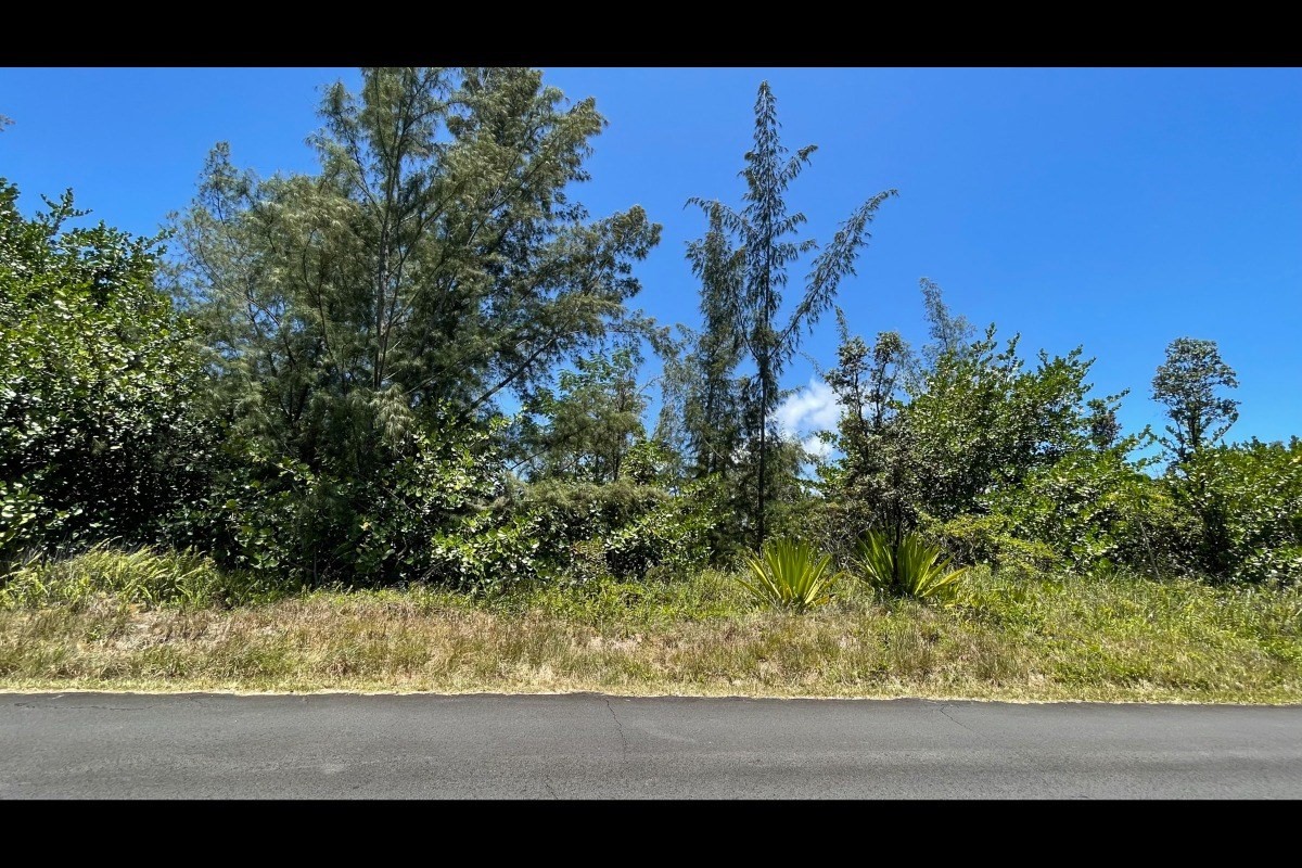 2974 Beach Road Keaau, HI 96749 - Photo 3 of 26 Gallery Image 3