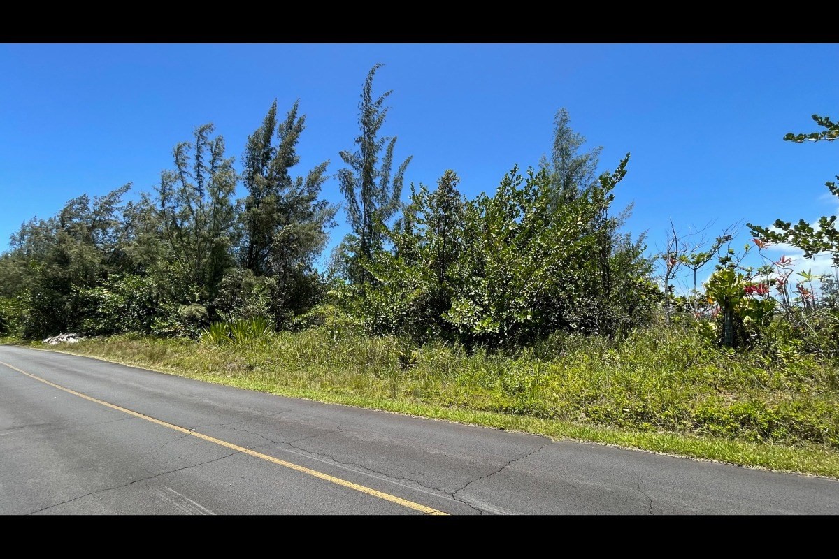 2974 Beach Road Keaau, HI 96749 - Photo 4 of 26 Gallery Image 4