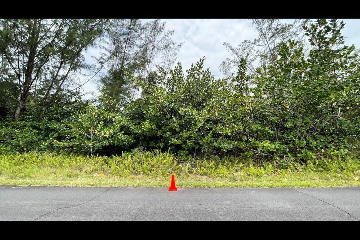2974 Beach Road Keaau, HI 96749 - Photo 7 of 26 Gallery Image 7