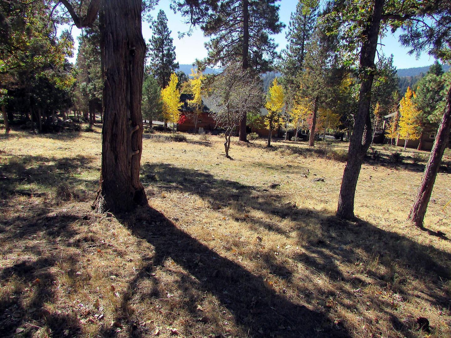 19 Kestrel Road Klamath Falls, OR 97601 - Photo 4 of 11 Additional Photo
