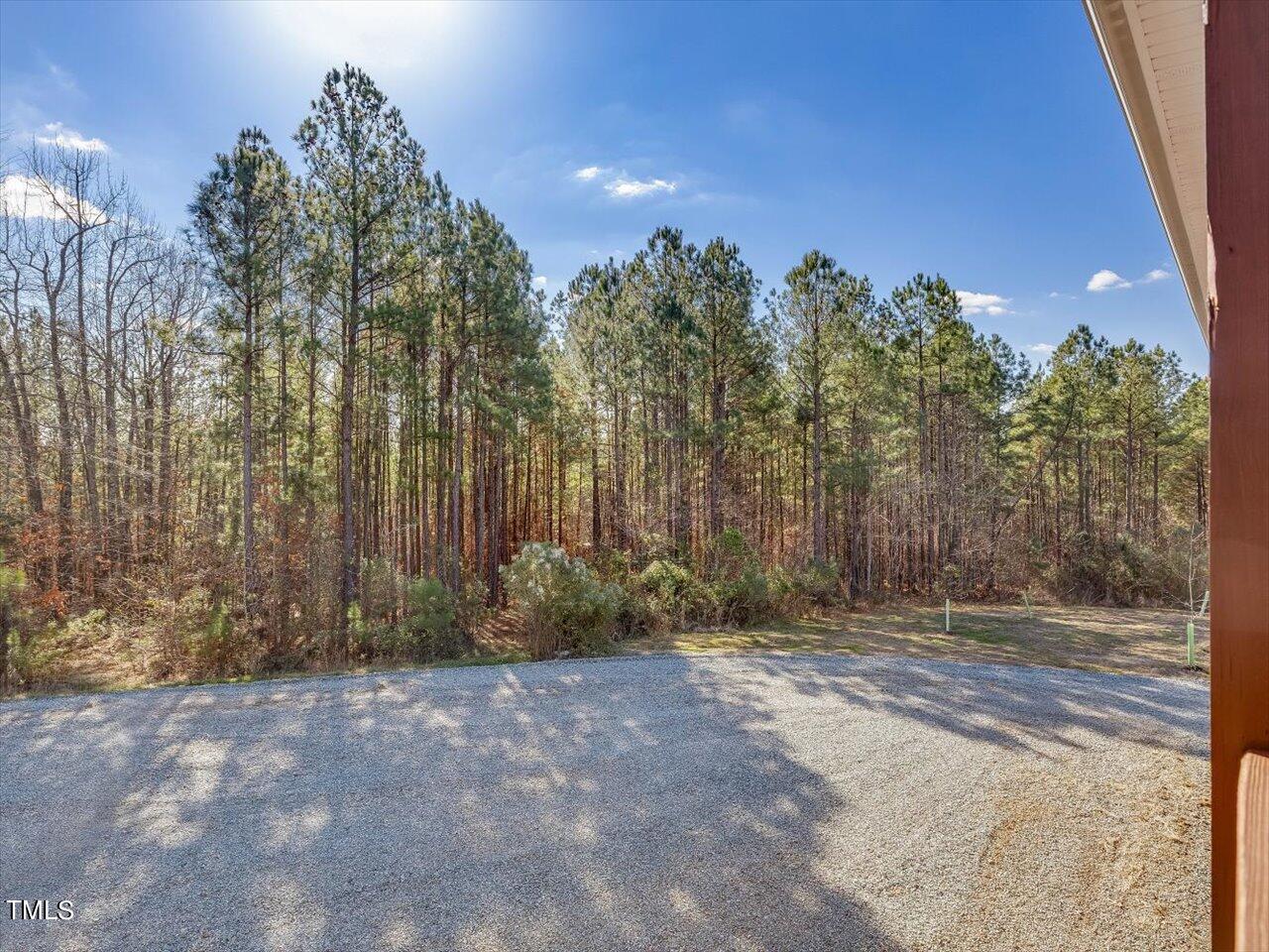 406 Gum Springs Church Road Moncure, NC 27559 - Photo 24 of 100 a view of backyard with tree